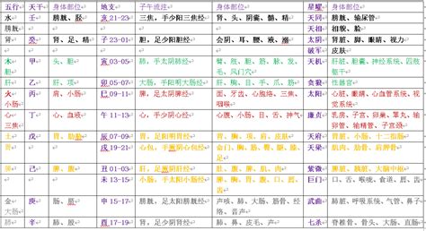 五行身體部位|“五行”和“身体部位”对照表